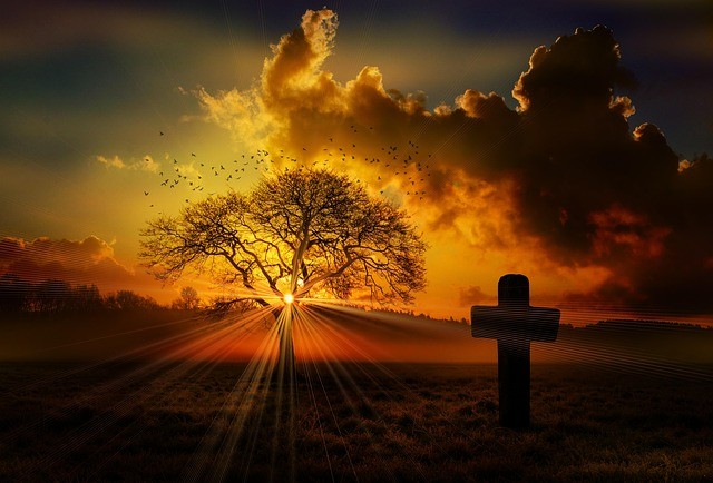 四川單招26年還有嗎