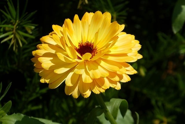 四川省蓬安縣周口中學(xué)校師資團(tuán)隊(duì)