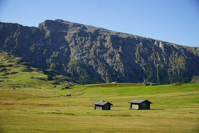 四川單招與高考