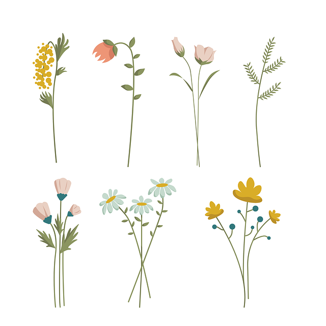 飛行器設(shè)計(jì)與工程專業(yè)就業(yè)前景