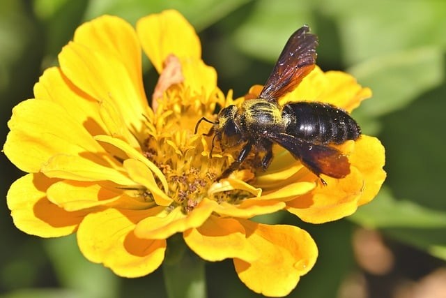 四川單招新疆學(xué)校是哪個(gè) 四川單招新疆學(xué)校是哪個(gè)