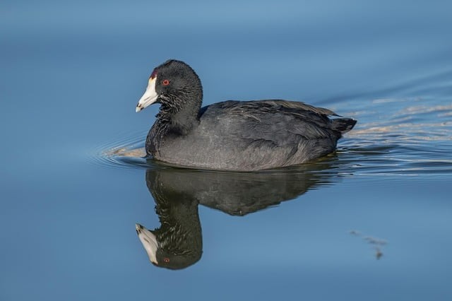 四川單招專業(yè)代碼職高