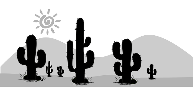 成都首創(chuàng)單招攀枝花，成都首創(chuàng)藝術(shù)學(xué)校官網(wǎng)