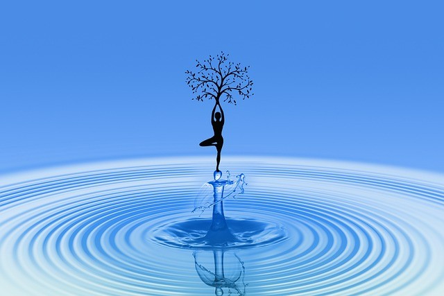 四川單招刷題推薦高職 四川單招刷題推薦高職