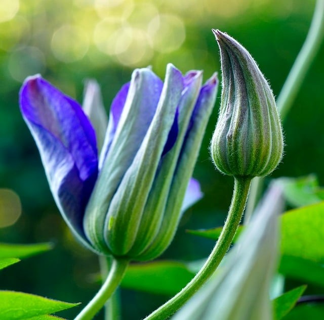 單招成績分數(shù)線四川人數(shù)