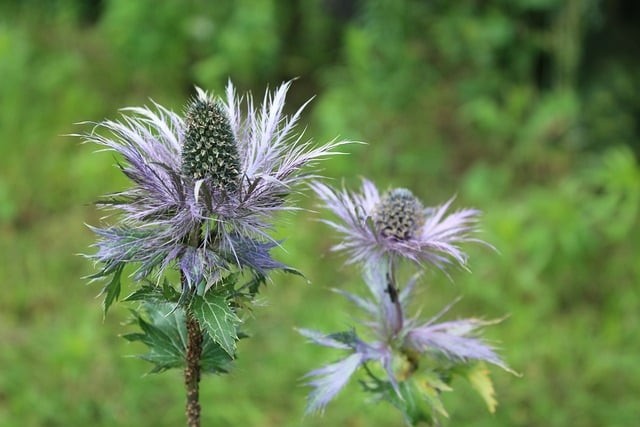 四川單招參考書電子版