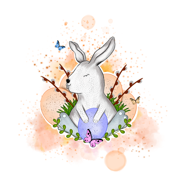 宜賓單招培訓(xùn)學(xué)定，宜賓單招考試報名時間