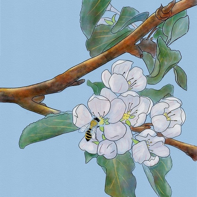 宜賓單招培訓(xùn)學(xué)定，宜賓單招考試報名時間