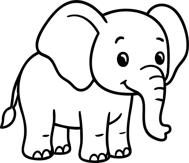 四川單招各校的王牌專業(yè)