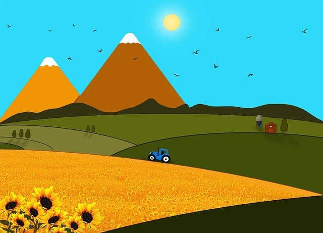 宜賓單招培訓(xùn)，宜賓職業(yè)技術(shù)單招專業(yè)