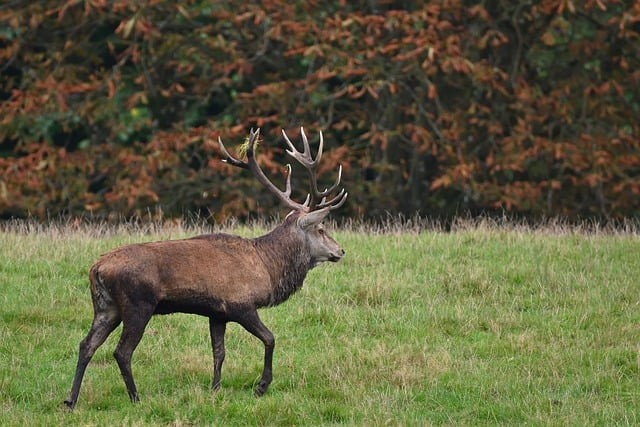 四川單招好公辦多少分