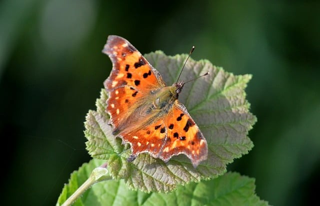 成都市現(xiàn)代制造職業(yè)技術(shù)學(xué)校助學(xué)政策 成都市現(xiàn)代制造職業(yè)技術(shù)學(xué)校助學(xué)政策