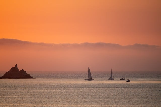 成都市七中初中學(xué)校2025年藝體生招生簡(jiǎn)介