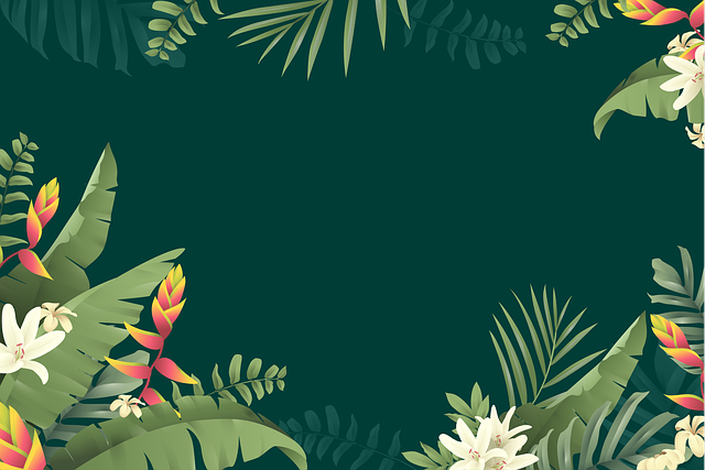 四川省中職單招對口升學(xué)，四川對口升學(xué)單招分?jǐn)?shù)線