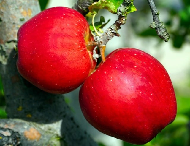 內(nèi)江市第七中學(xué)2024招生簡介