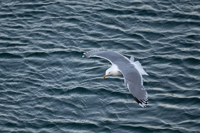 四川單招文化網(wǎng)課推薦 四川單招文化網(wǎng)課推薦