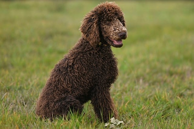 溫江燎原職業(yè)技術(shù)學(xué)校2025年招生錄取分?jǐn)?shù)線