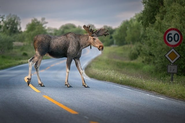 四川單招學哪些科目