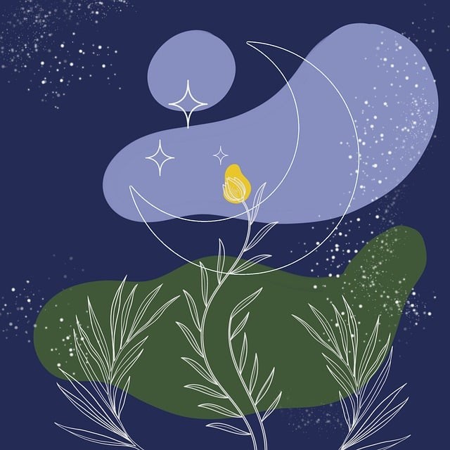 成都星空教育單招培訓(xùn)，成都星空培訓(xùn)機構(gòu)