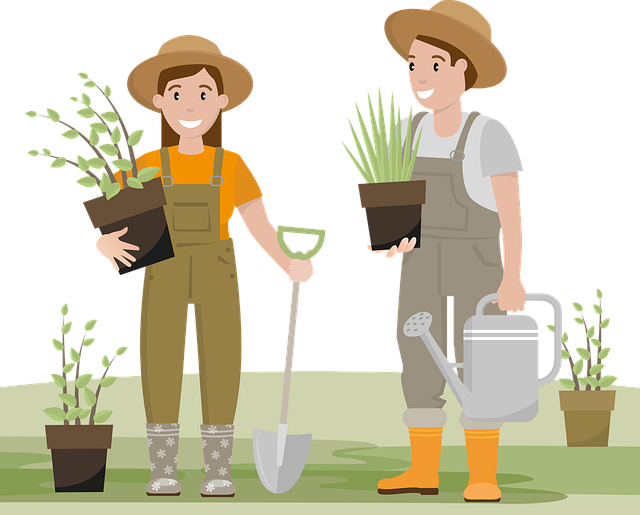 成都新都區(qū)單招培訓(xùn)學(xué)校，成都單招培訓(xùn)學(xué)校招生簡章