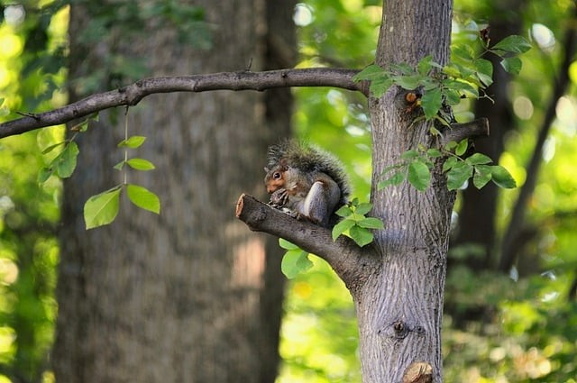 四川單招中職建筑類分?jǐn)?shù)