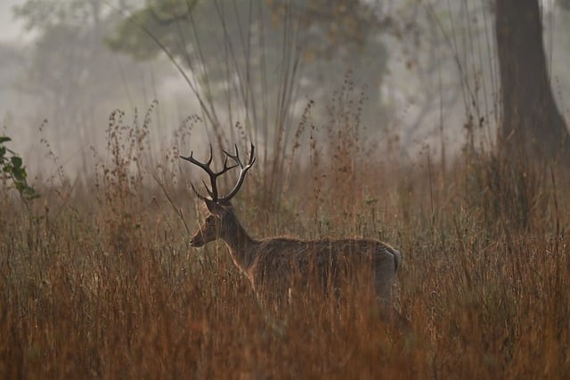 隆昌縣金成職業(yè)學校2025年錄取分數(shù)線