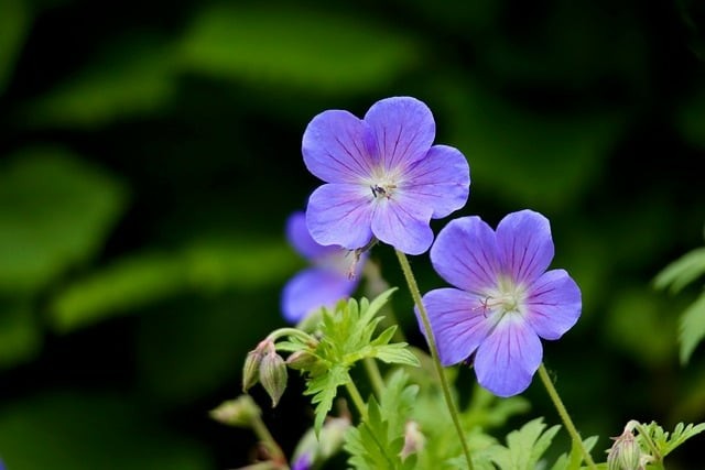 四川省樂山市竹根職業(yè)中專學(xué)校2025年招生錄取分 四川省樂山市竹根職業(yè)中專學(xué)校2025年招生錄取分