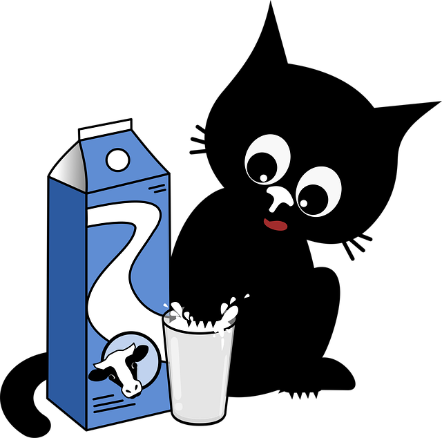 四川單招學校代碼達州